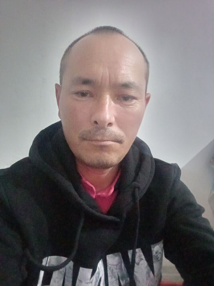  45369350  , 43 ,    