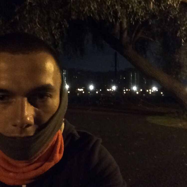 ���� 25590150 ������� Giraffe, 38 ���, ���� ���������� � ������