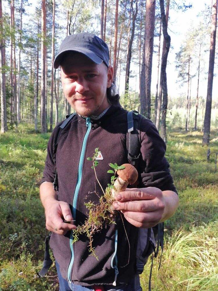 ���������� �����-���������, ���� ������� �������, 36 ���, ������������ ��� ������, ����� � ���������, c�������� ���������, ���������