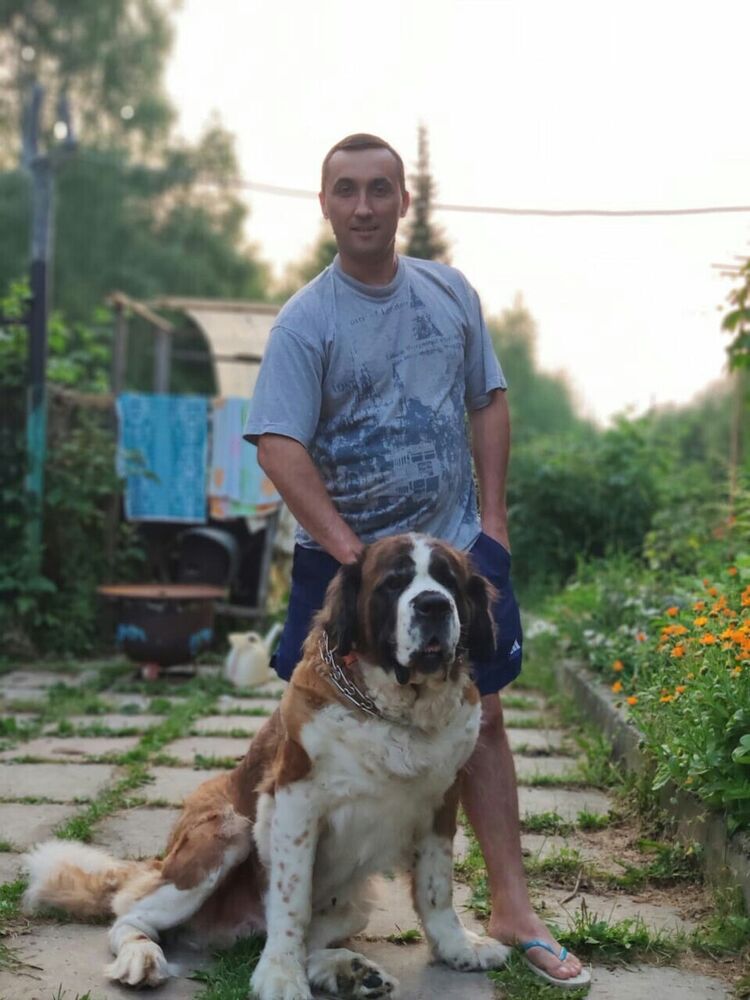 ���������� ������������, ���� ������� ���������, 41 ���, ������������ ��� ������, ����� � ���������, c�������� ���������