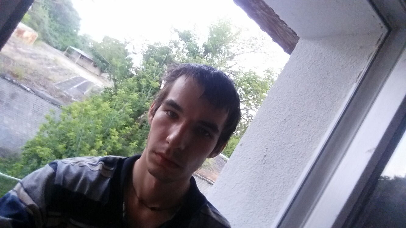  23624440  , 29 ,    