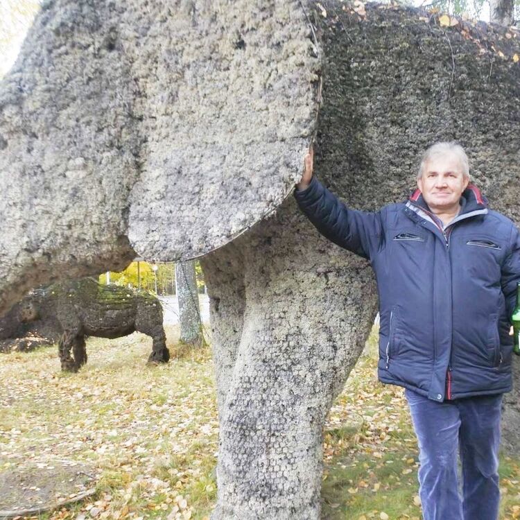  -,   , 65 ,   