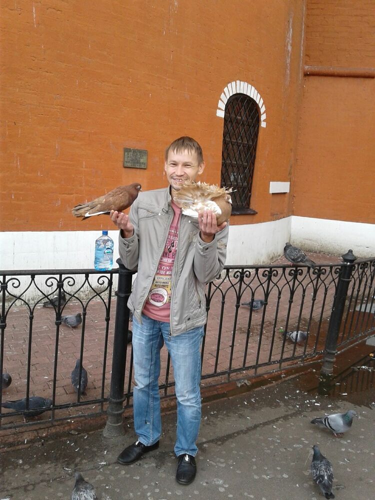 ���������� ������, ���� ������� ����, 43 ����, ������������ ��� ������, ����� � ���������, c�������� ���������, ���������