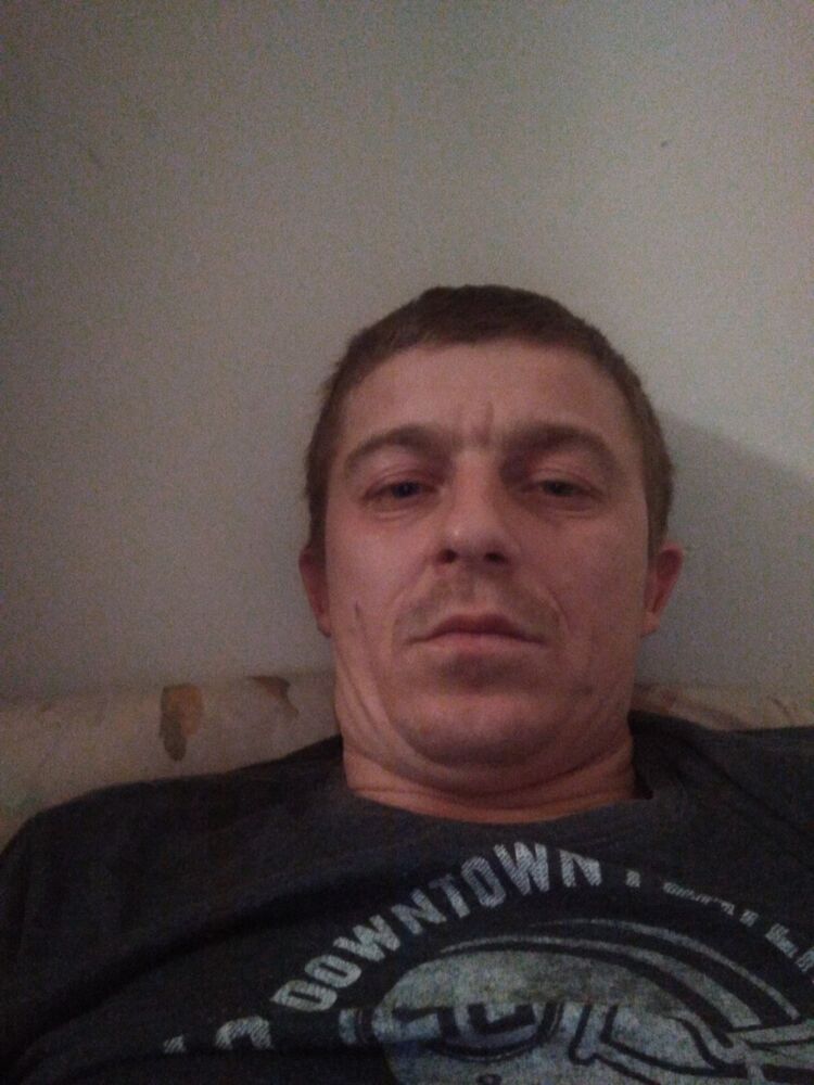  15327160  , 41 ,    