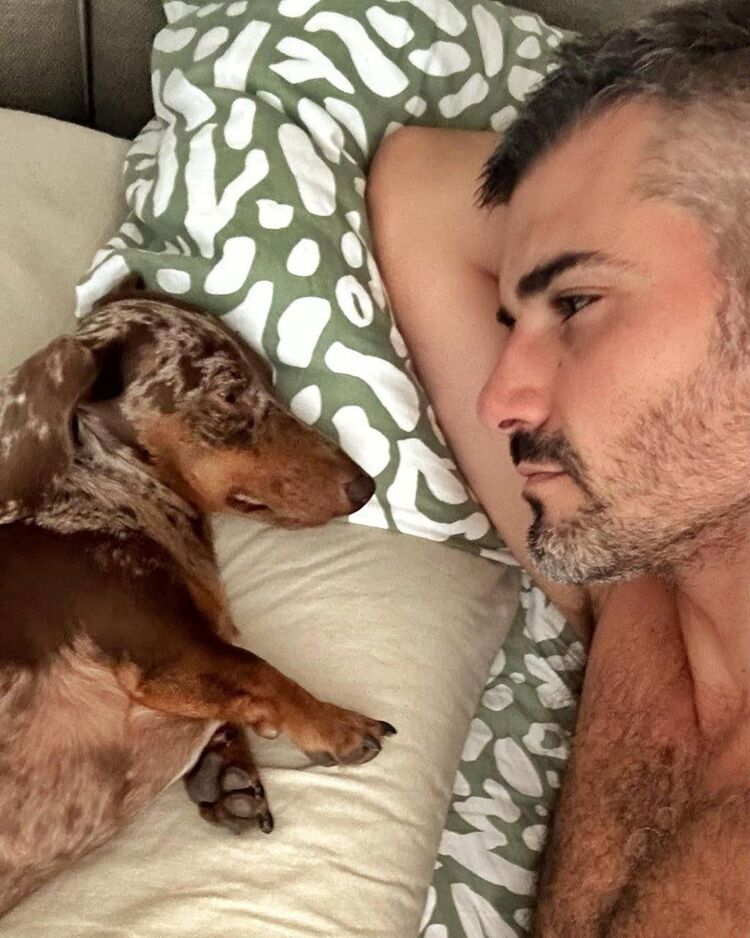 ���� 50053590 ������� ������, 38 ���, ���� ���������� � ����������