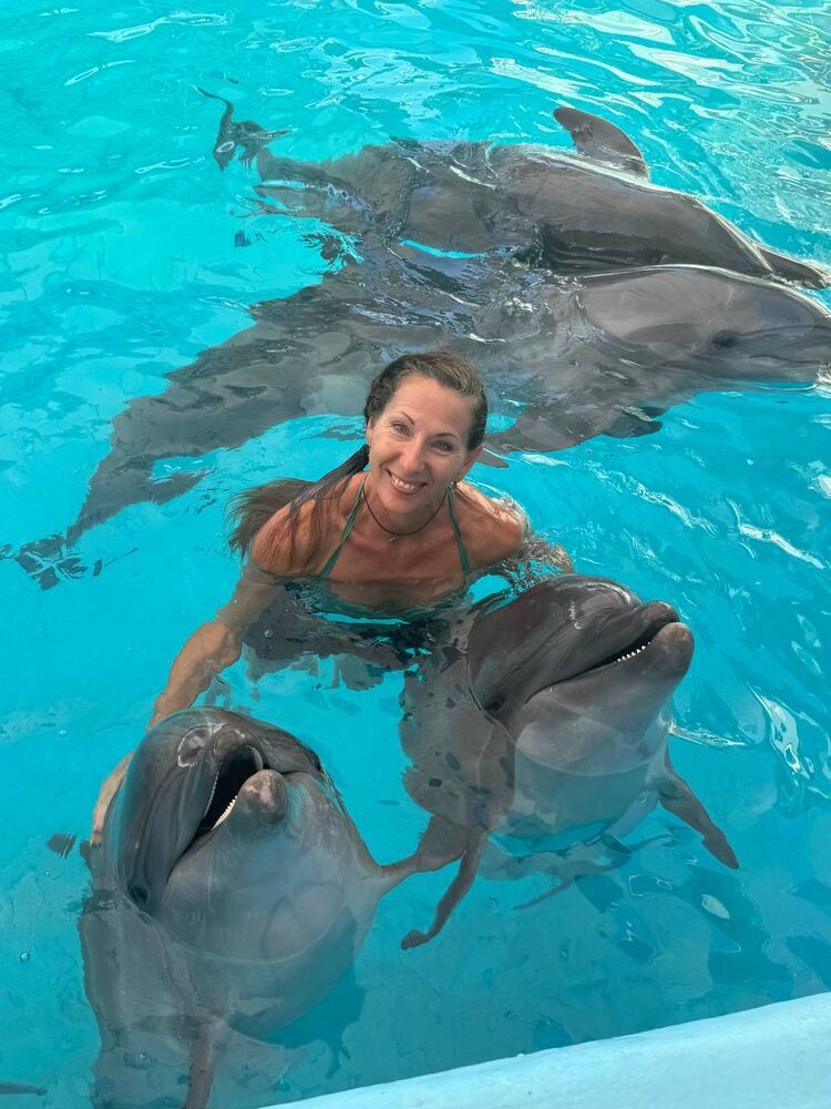 ���������� �����, ���� ������� �����, 50 ���, ������������ ��� ����� � ���������, c�������� ���������