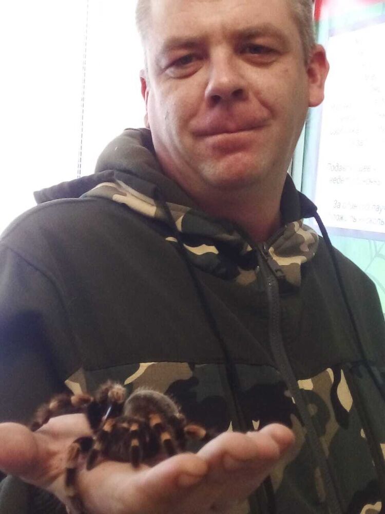  53800110  ϸ, 36 ,    -