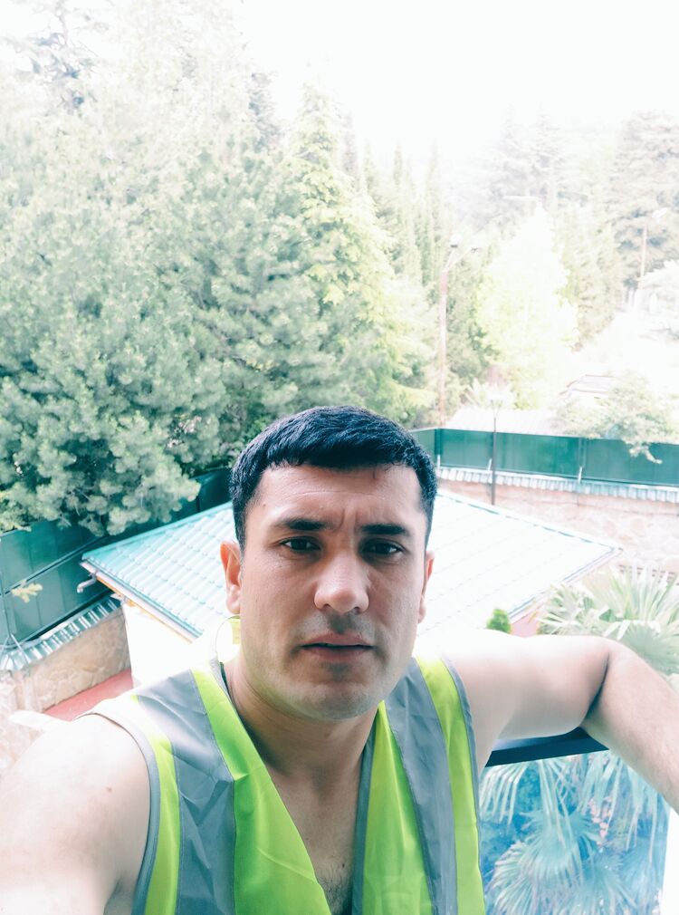  50386880  , 36 ,    
