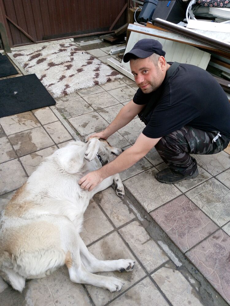 ���������� ����, ���� ������� �����, 35 ���, ������������ ��� ������, ����� � ���������, c�������� ���������