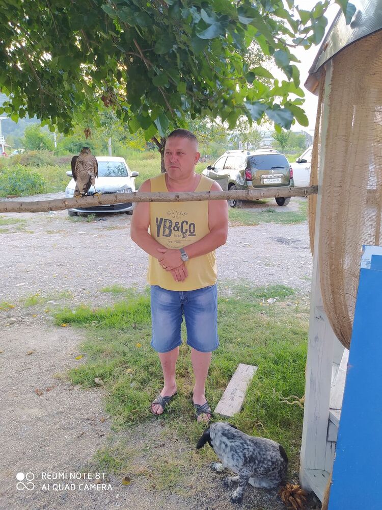  43229240  , 56 ,    