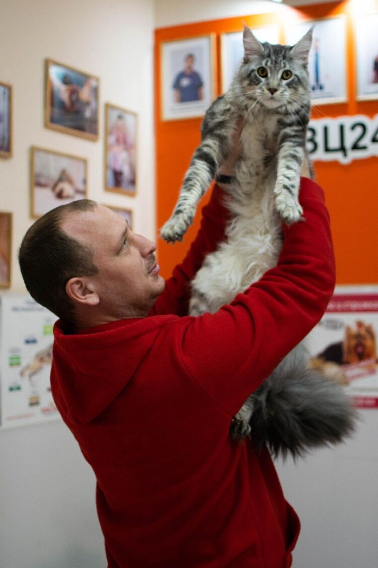 ���� 25749430 ������� �������, 33 ����, ���� ���������� � �����