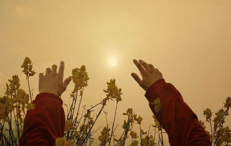  22836100  Sardor, 34 ,    