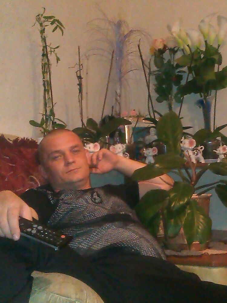 ���� 4909900 ������� ����, 46 ���, ���� ���������� � ��������