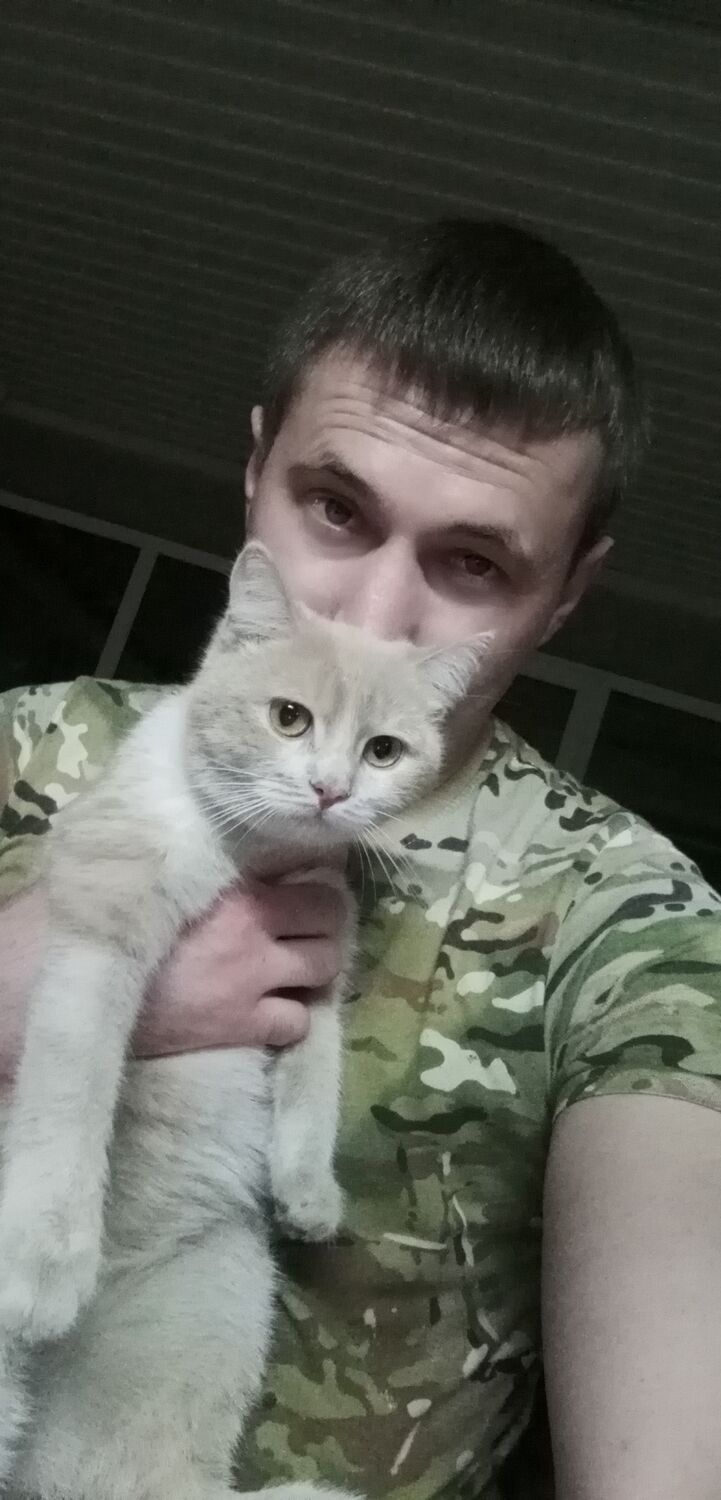 ���� 26648010 ������� ����, 33 ����, ���� ���������� � ��������