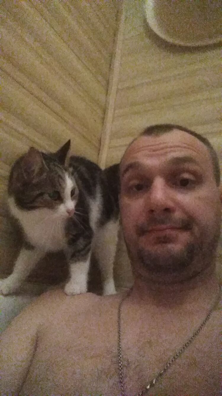  -,   , 42 ,   ,   