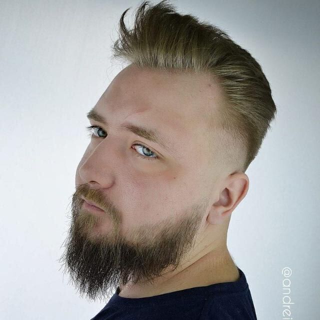 ���� 33619450 ������� �����, 31 ���, ���� ���������� � ������