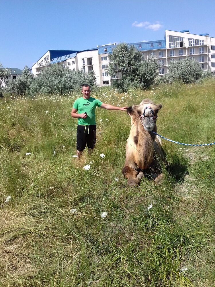 ���� 8270680 ������� Vitali, 39 ���, ���� ���������� � ��������