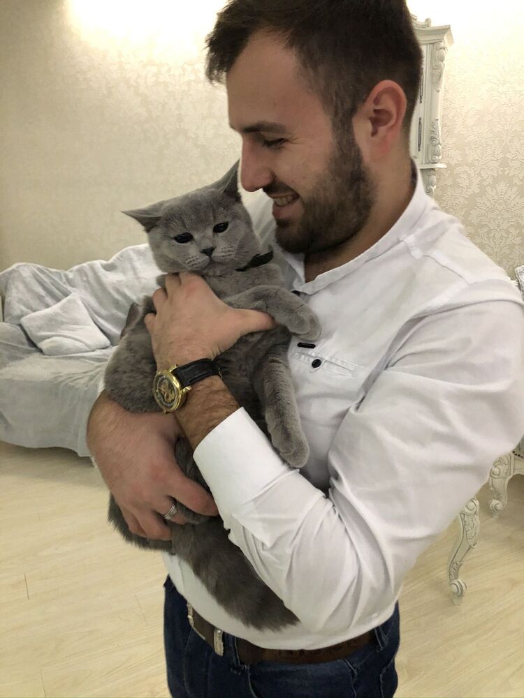  26499490  Dorin, 29 ,    