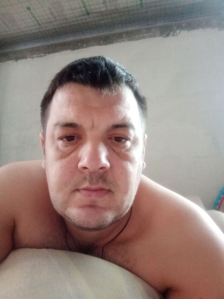 ���� 31356680 ������� ����, 42 ����, ���� ���������� � �����