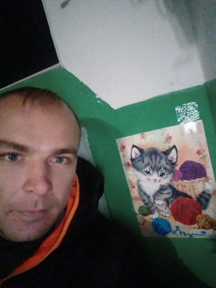 ���������� ������ ��������, ���� ������� ���������, 38 ���, ������������ ��� ������, ����� � ���������, c�������� ���������, ���������