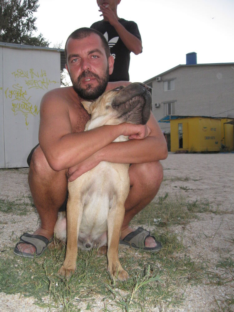  ,   IGOR, 52 ,   ,   , c , 