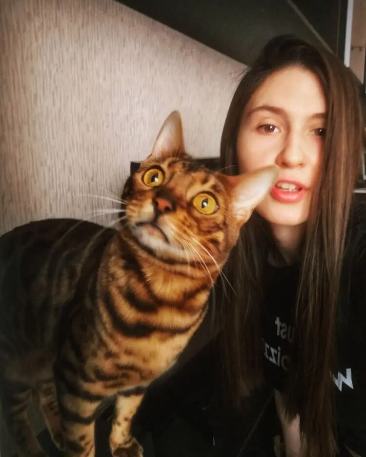 ���������� �����-���������, ���� ������� ����������, 33 ����, ������������ ��� ������, ����� � ���������, c�������� ���������, ���������