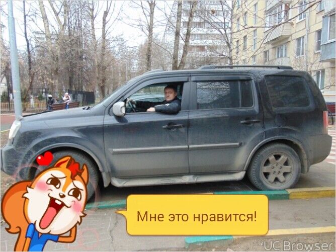 ���������� ������, ���� ������� ������, 44 ����, ������������ ��� ������, ����� � ���������, c�������� ���������