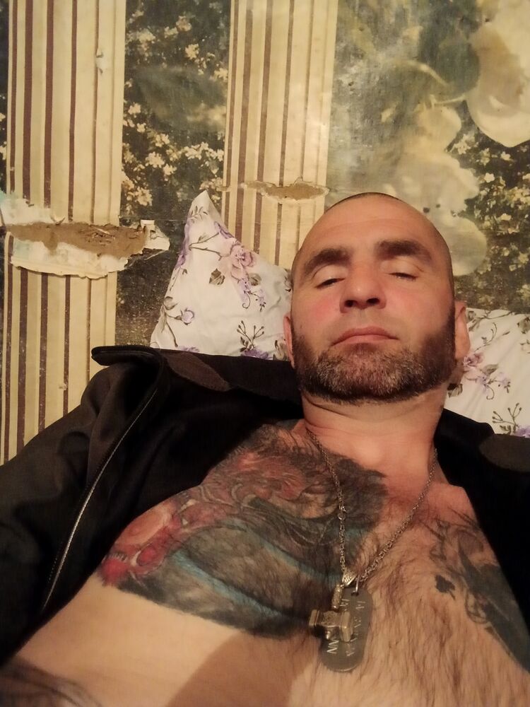  53045330  , 49 ,    