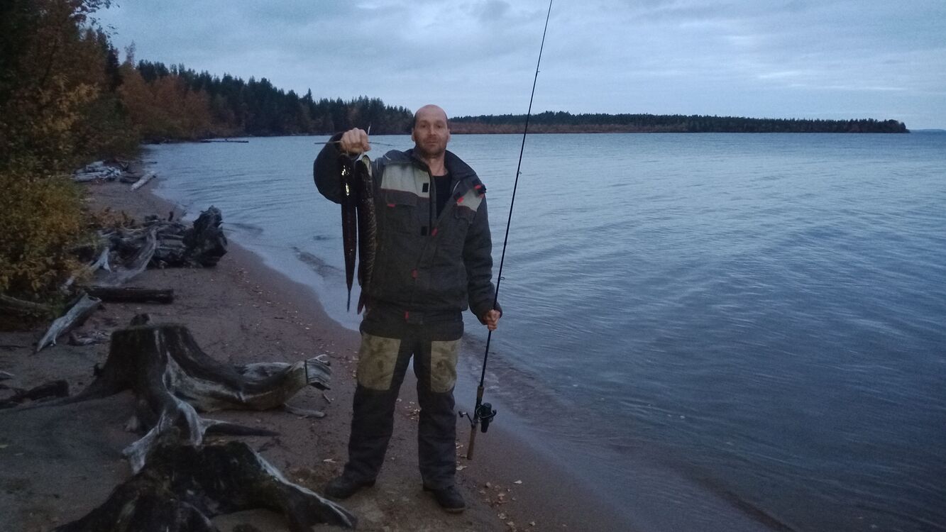 ���� 24845060 ������� �����, 44 ����, ���� ���������� � ������