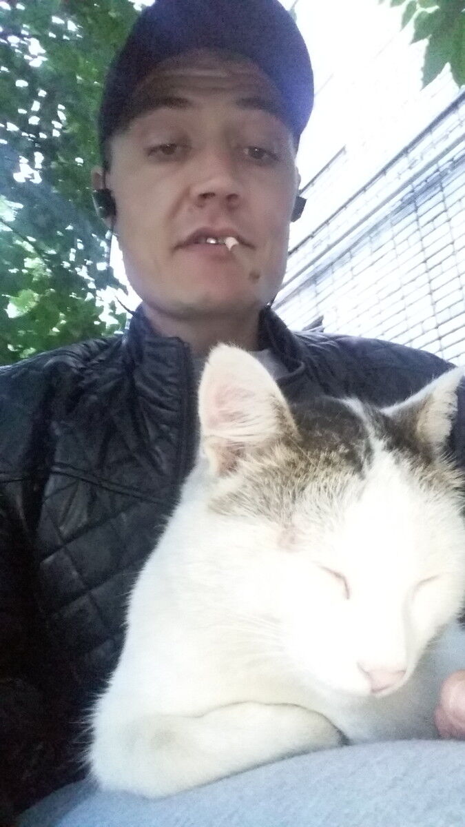 ���� 17393580 ������� ����, 43 ����, ���� ���������� � ��������������