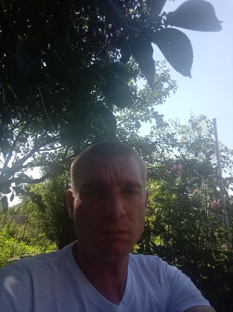  35175580  , 39 ,    