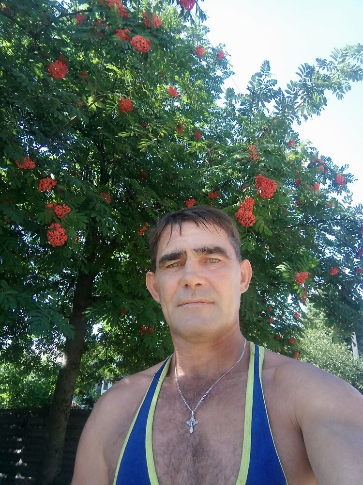  33406180  , 53 ,    