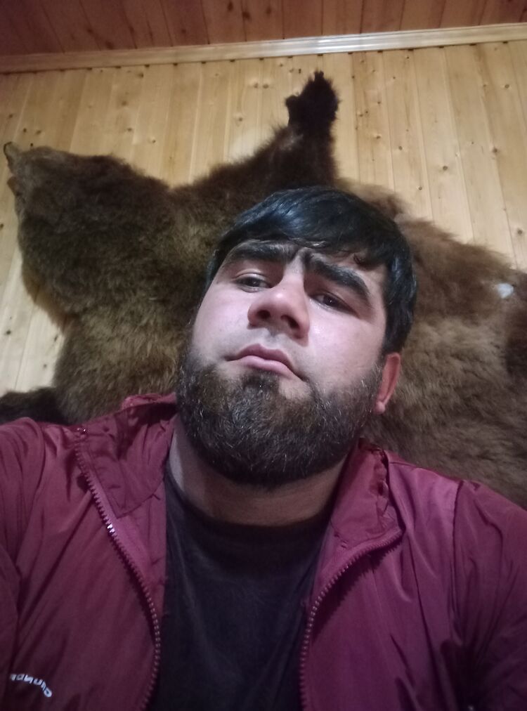 ���� 33952600 ������� �����, 32 ����, ���� ���������� � ����������