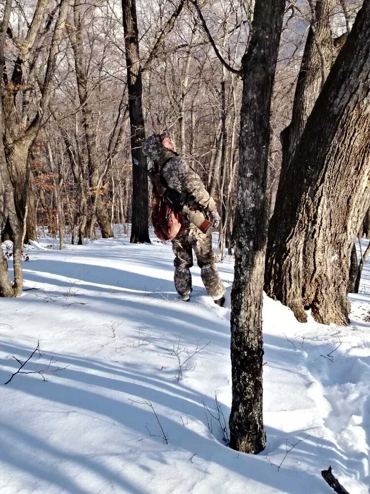 ���� 56054970 ������� �������, 37 ���, ���� ���������� � �������