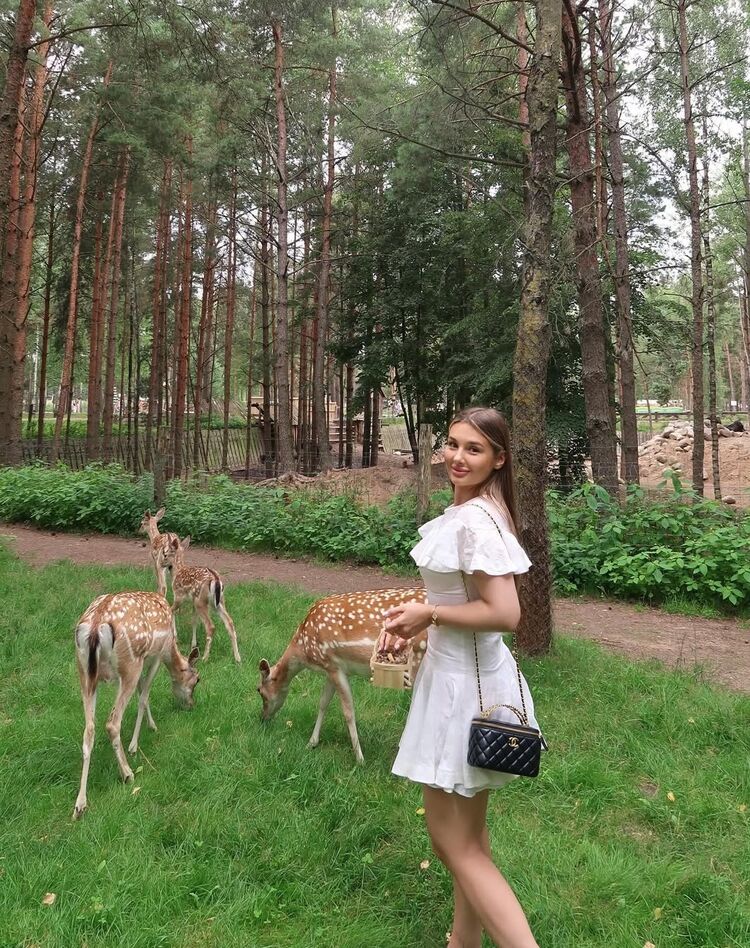 ���� 53612890 ������� ����, 29 ���, ���� ���������� � ������