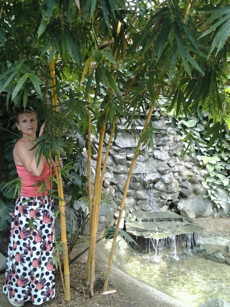  -,   , 55 ,   ,   , c 