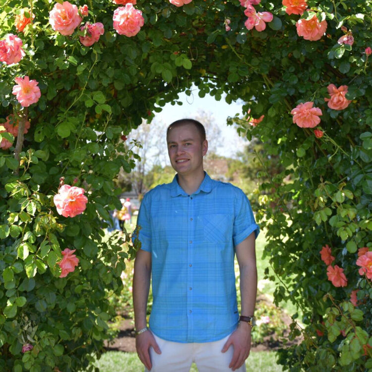 ���� 20954460 ������� ������, 42 ����, ���� ���������� � ������