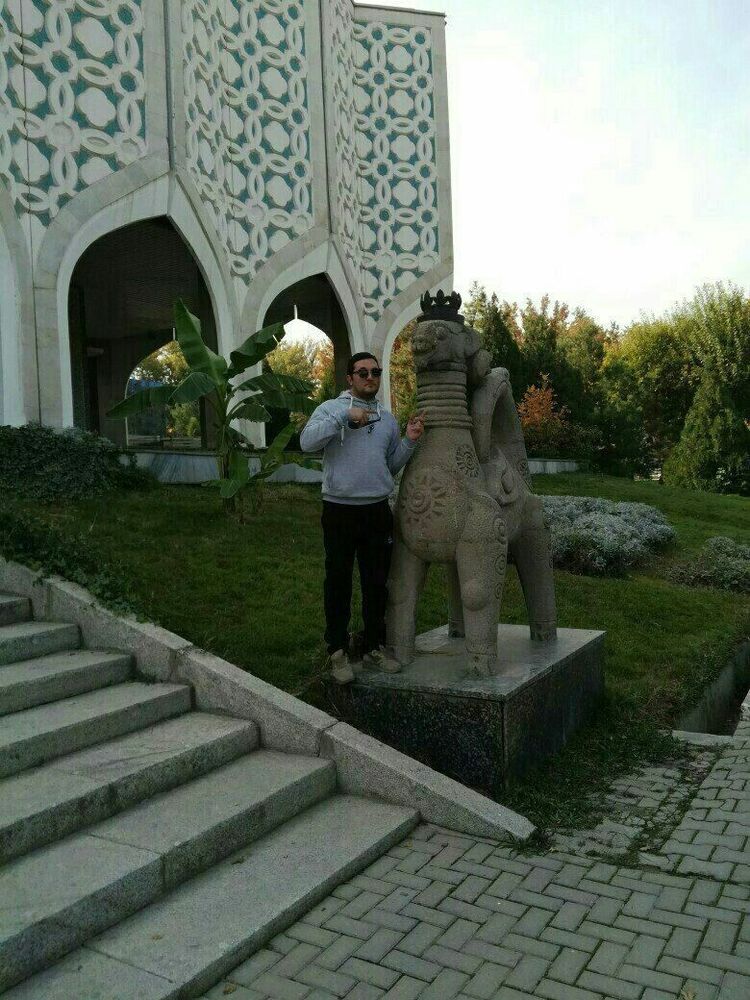 ���������� �������, ���� ������� �����, 37 ���, ������������ ��� ������, ����� � ���������, c�������� ���������