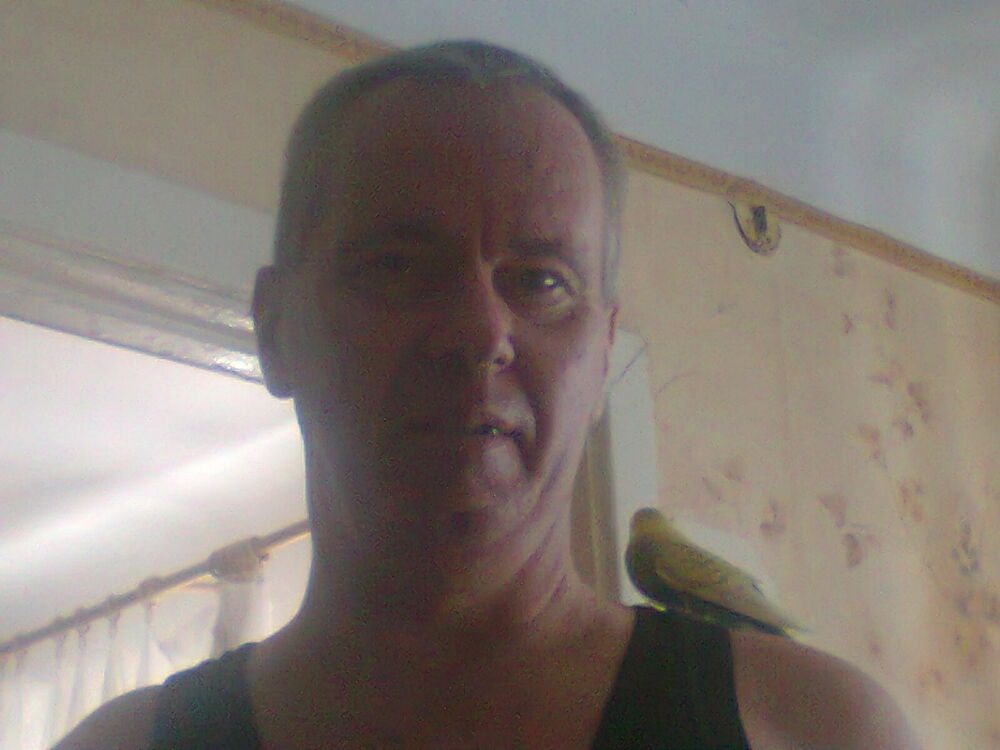  ,   , 65 ,  