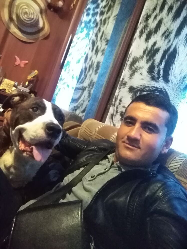 ���������� ���������, ���� ������� ����, 36 ���, ������������ ��� ������, ����� � ���������