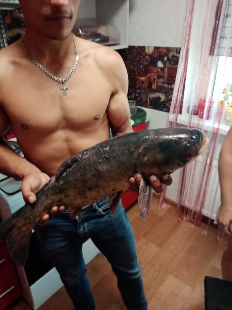  23922720  , 33 ,    