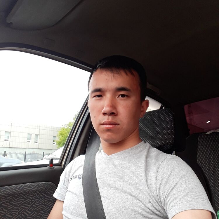  16590050  , 30 ,    