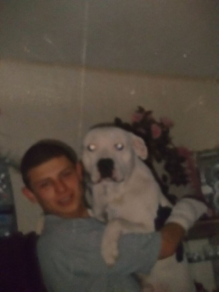 ���� 19771770 ������� �������, 41 ���, ���� ���������� � ��������