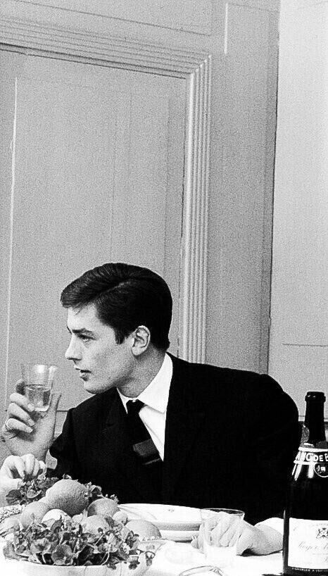 ���� 30441830 ������� Torebek, 26 ���, ���� ���������� � ��������