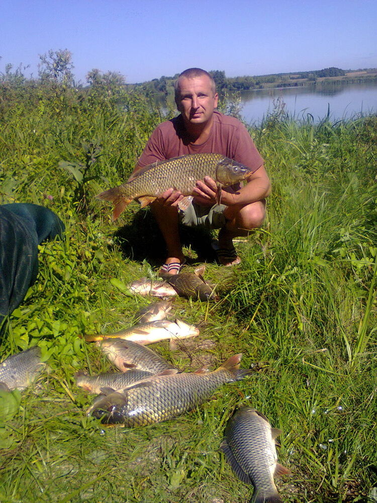   ,   Pavel, 43 ,   ,   , c 