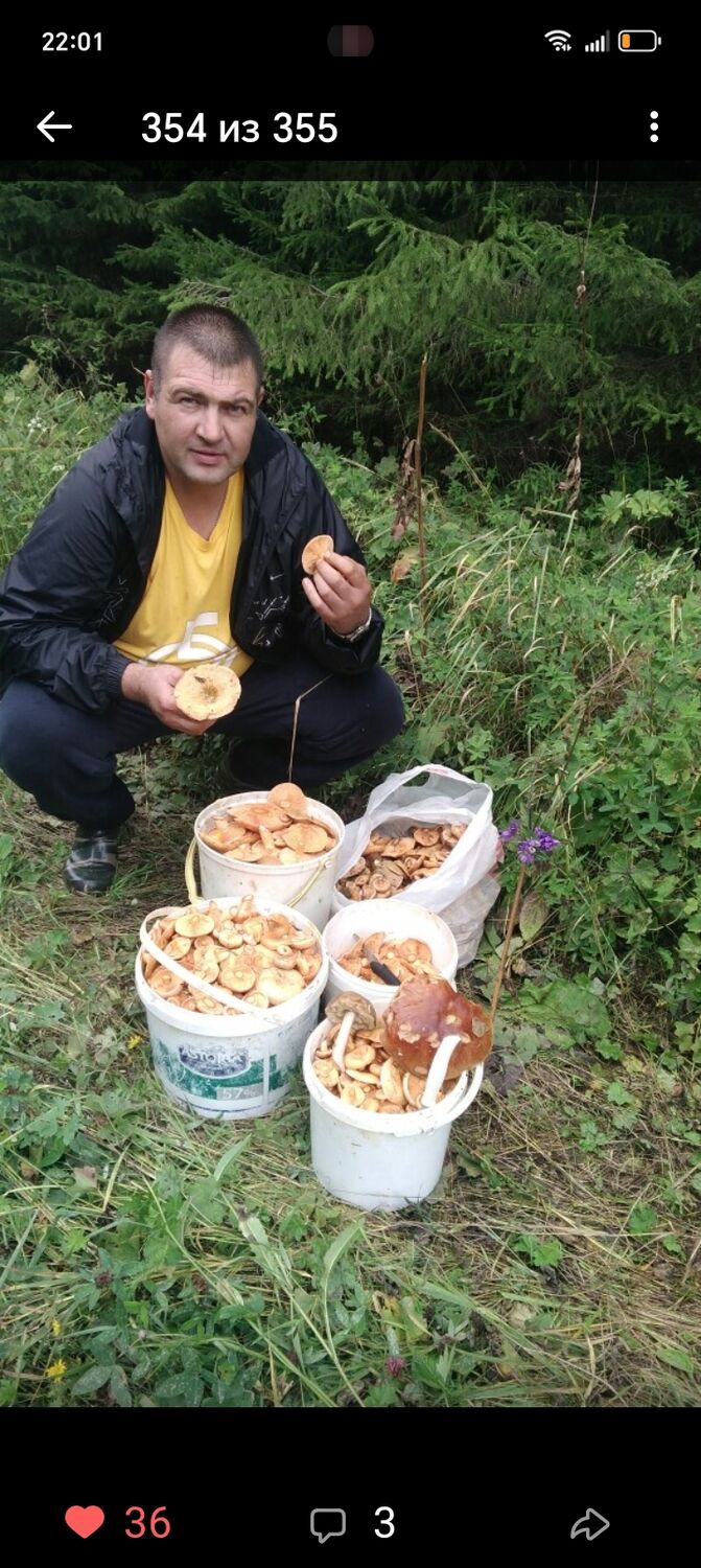 ���������� ���������, ���� ������� ������, 45 ���, ������������ ��� c�������� ���������, ���������