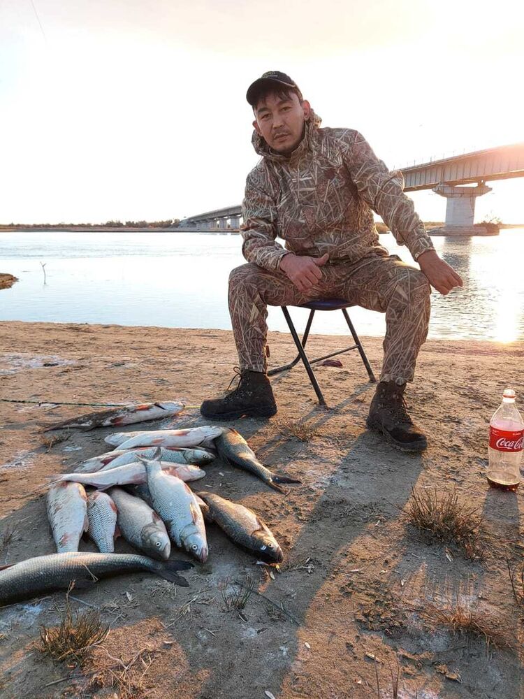 ���� 34088680 ������� �����, 40 ���, ���� ���������� � ������