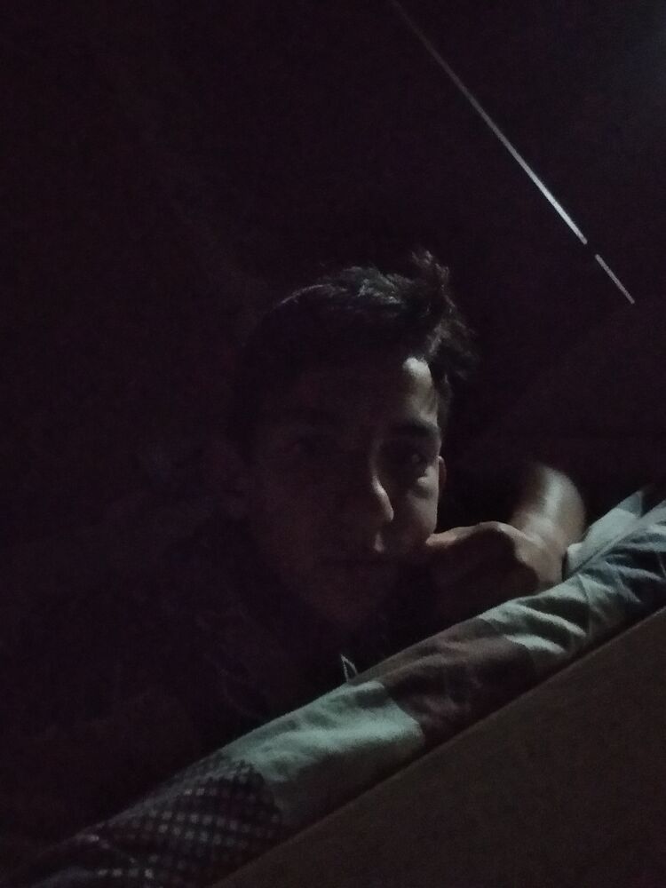  43192200  , 23 ,    