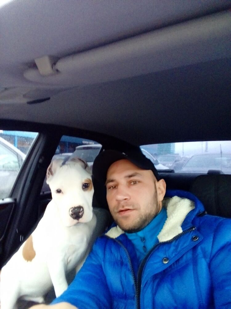 ���� 18384250 ������� ���������, 41 ���, ���� ���������� � ������� ���������