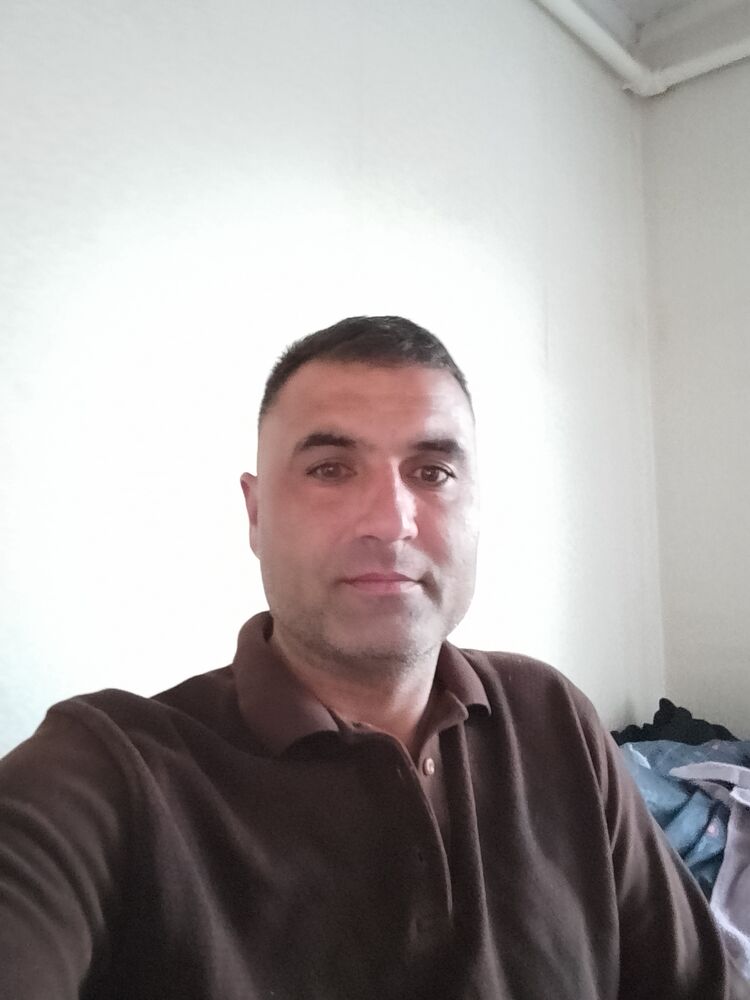  39151660  , 41 ,    